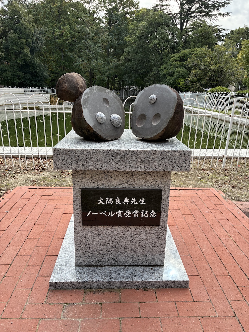 251106基生研
