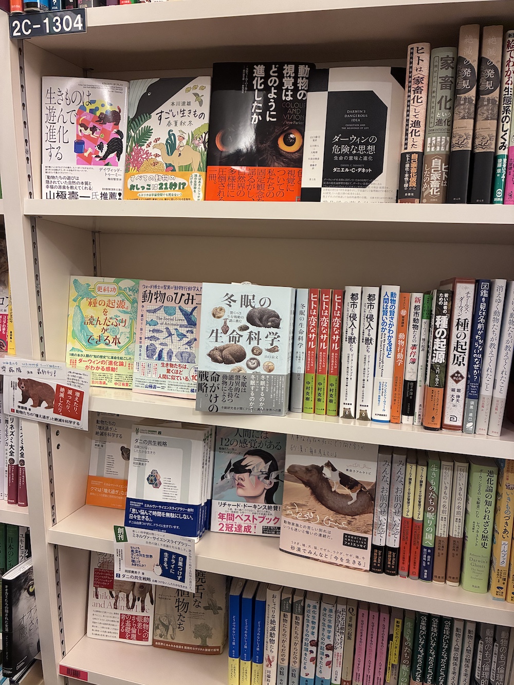 260331冬眠の生命科学