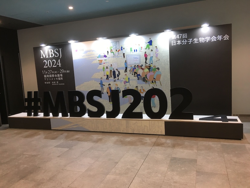 分生2024_1 (1)