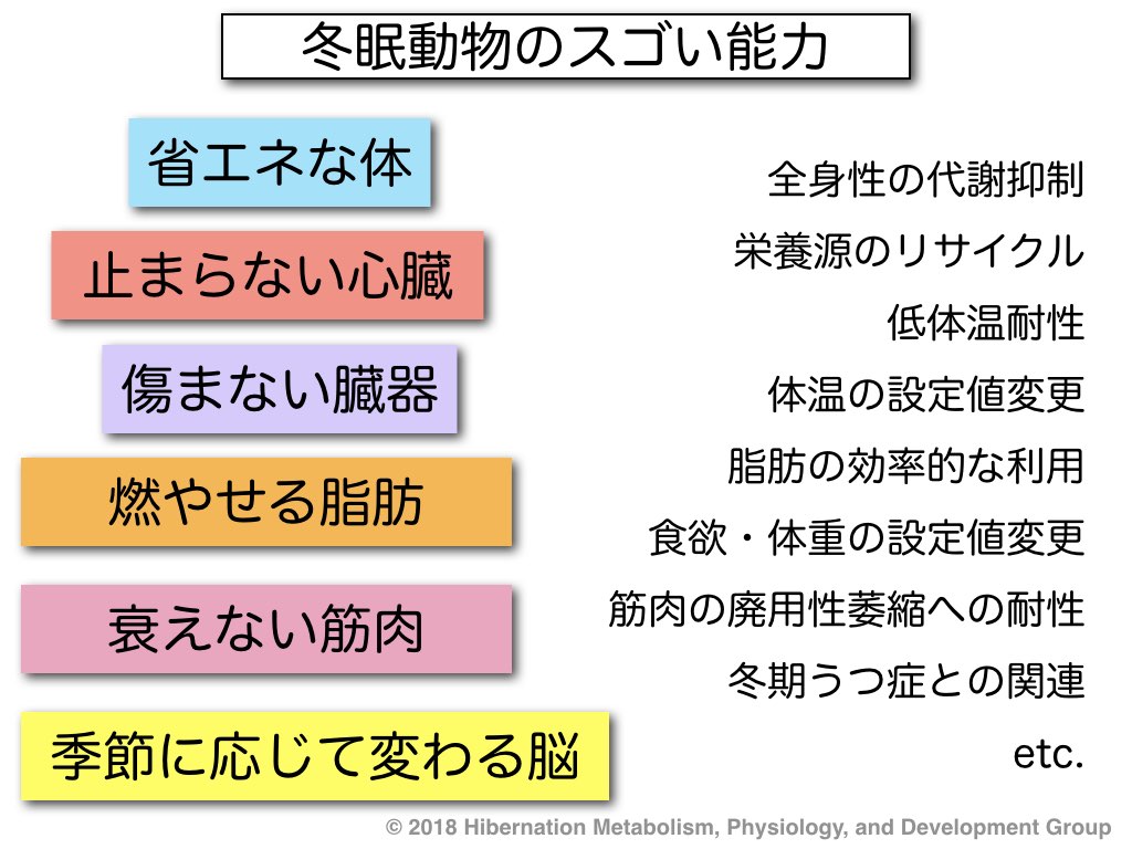 スゴイ能力.001