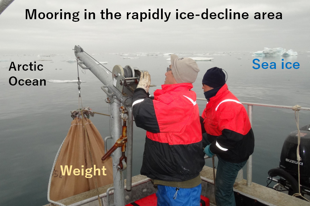 Ocean and Sea Ice Dynamics Group
