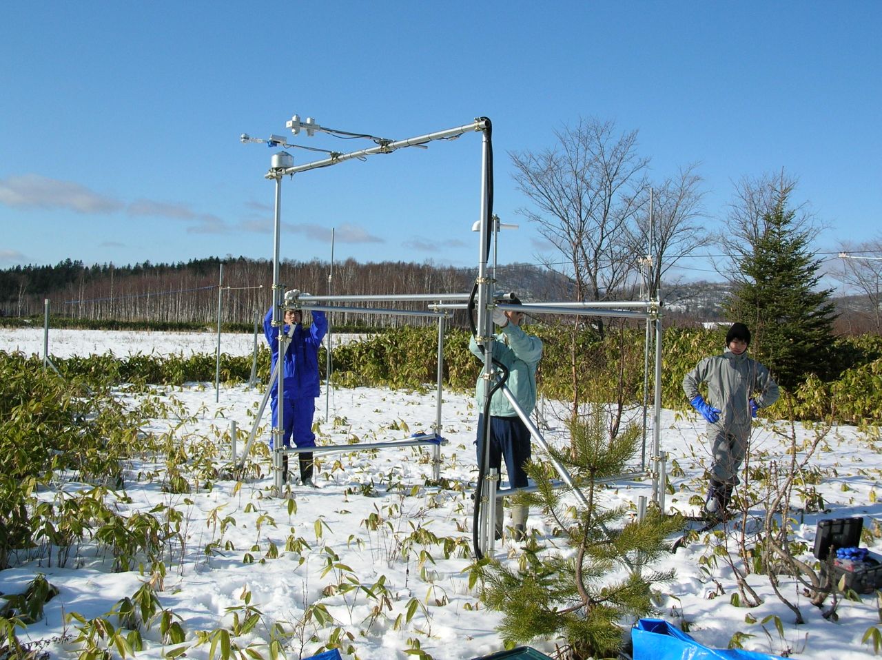 ��q����n��