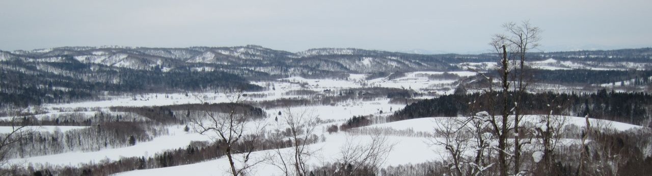 ��q���~�n�S�i