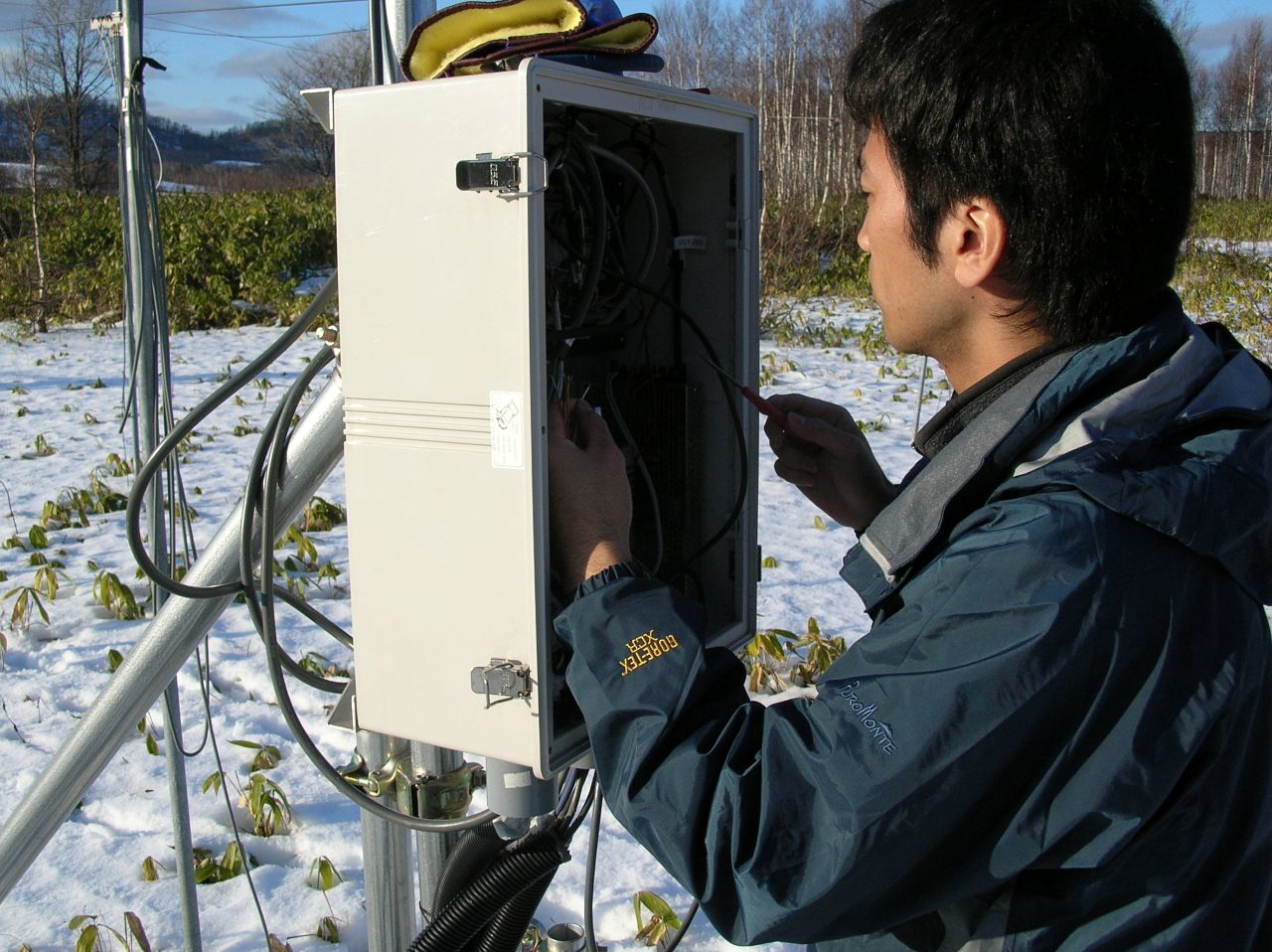 ��q���Z���T�[�z��