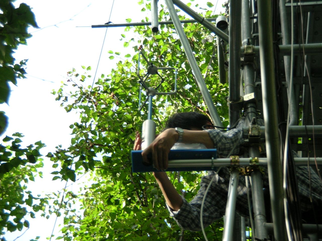 �Z���T�[���t��