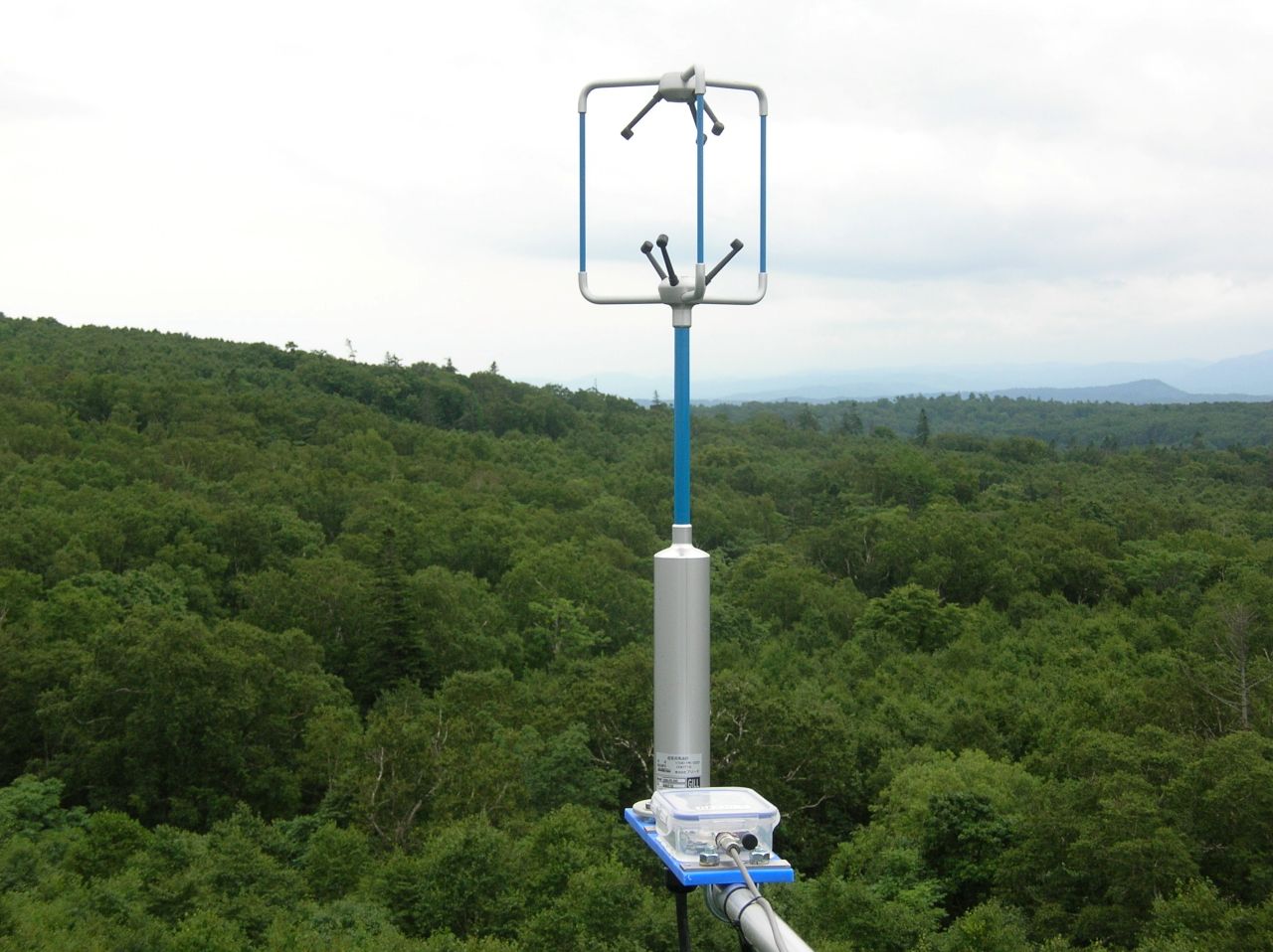 �����g�����v