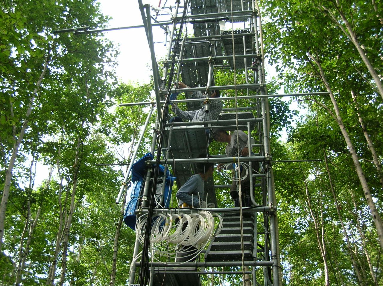 �Z���T�[�ݒu