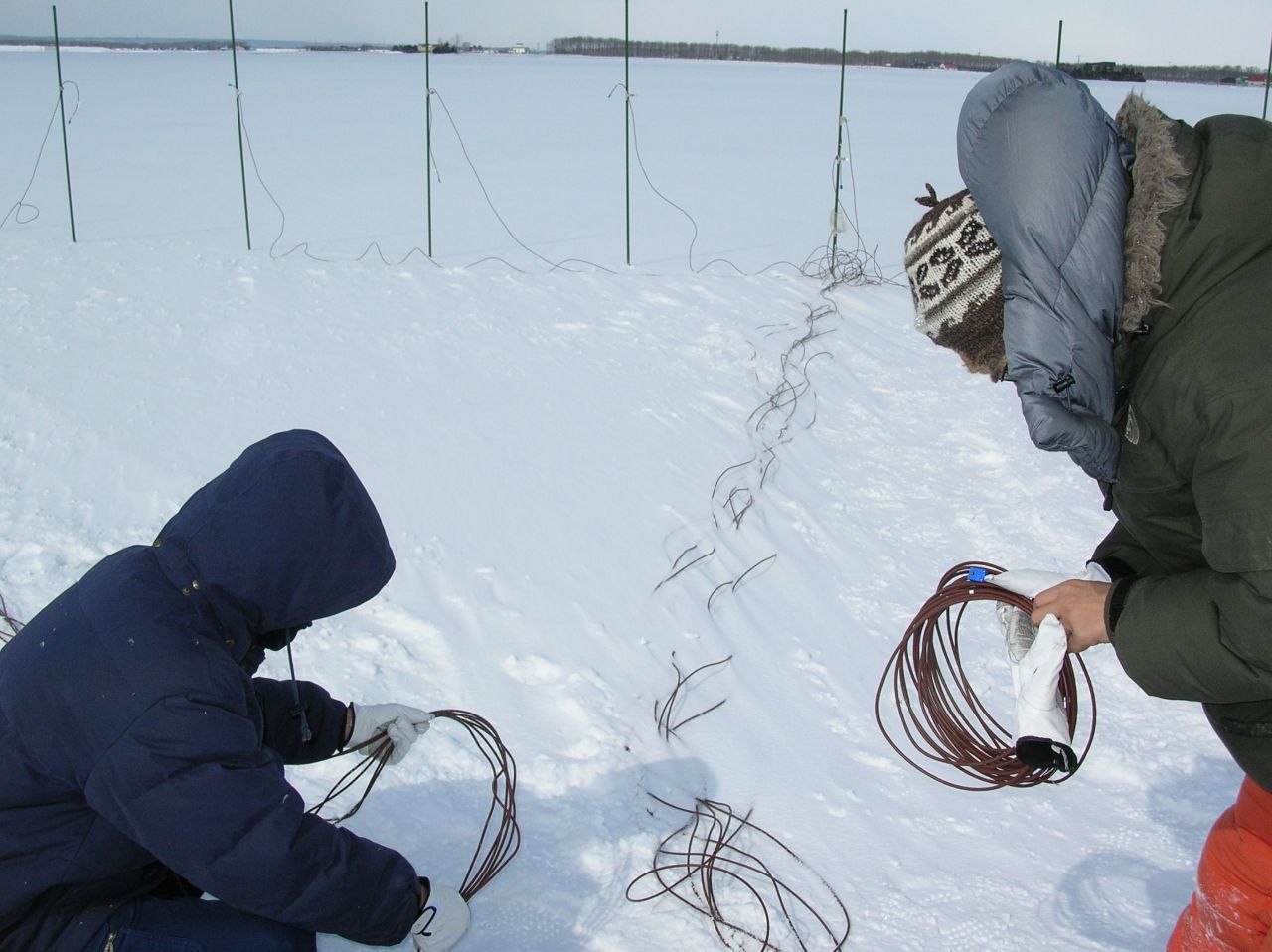 �����J�n