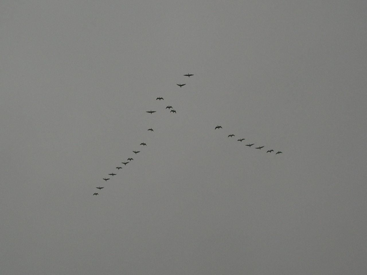 �����̖k�A