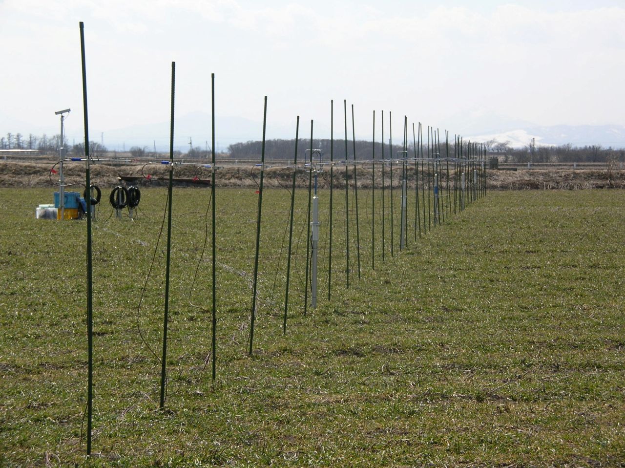 �ϑ���������