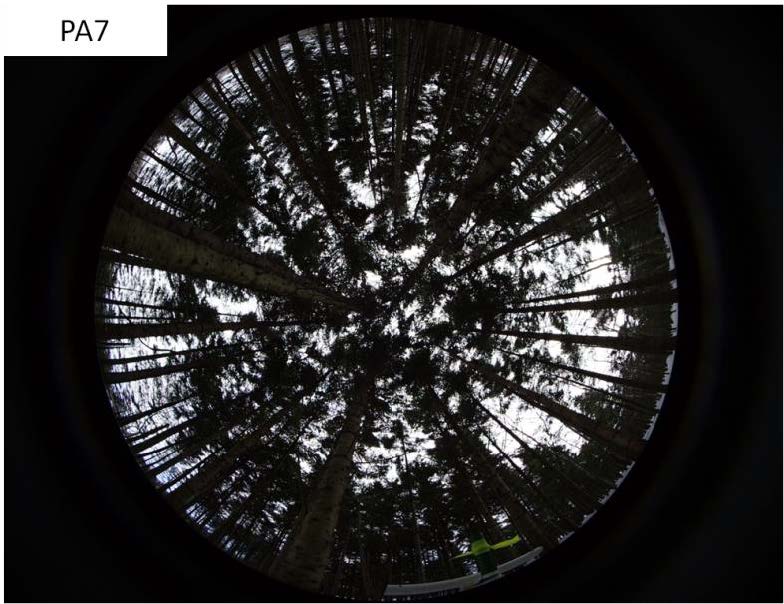 ���ȐX�т̎���