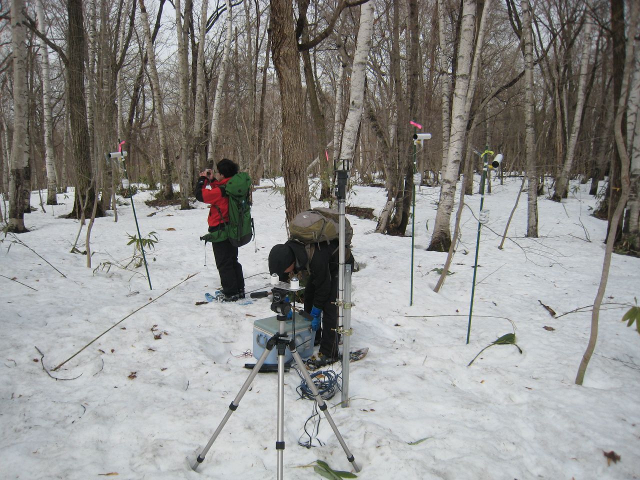 �Z���T�[�̃����e