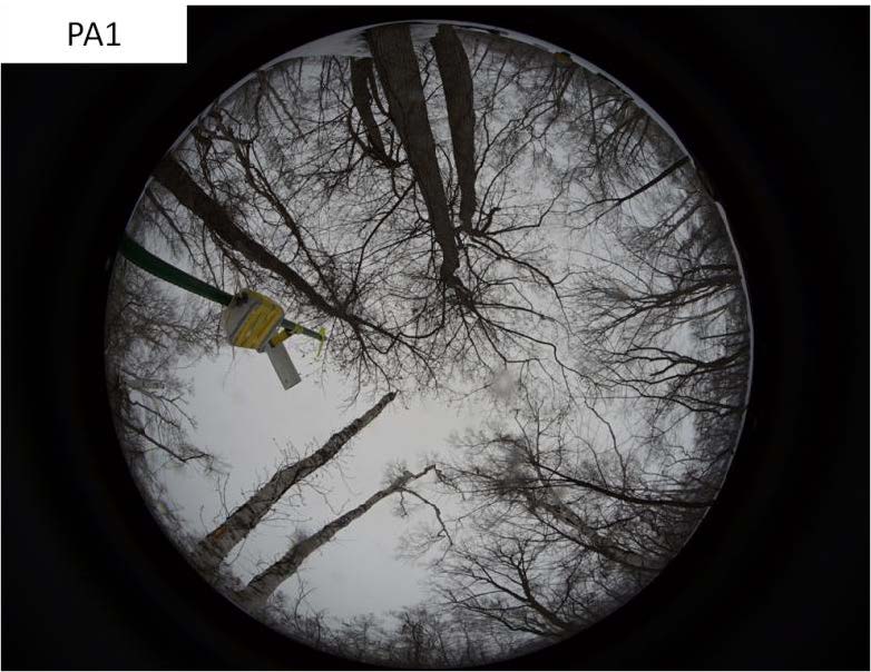 �a�ȐX�т̎���