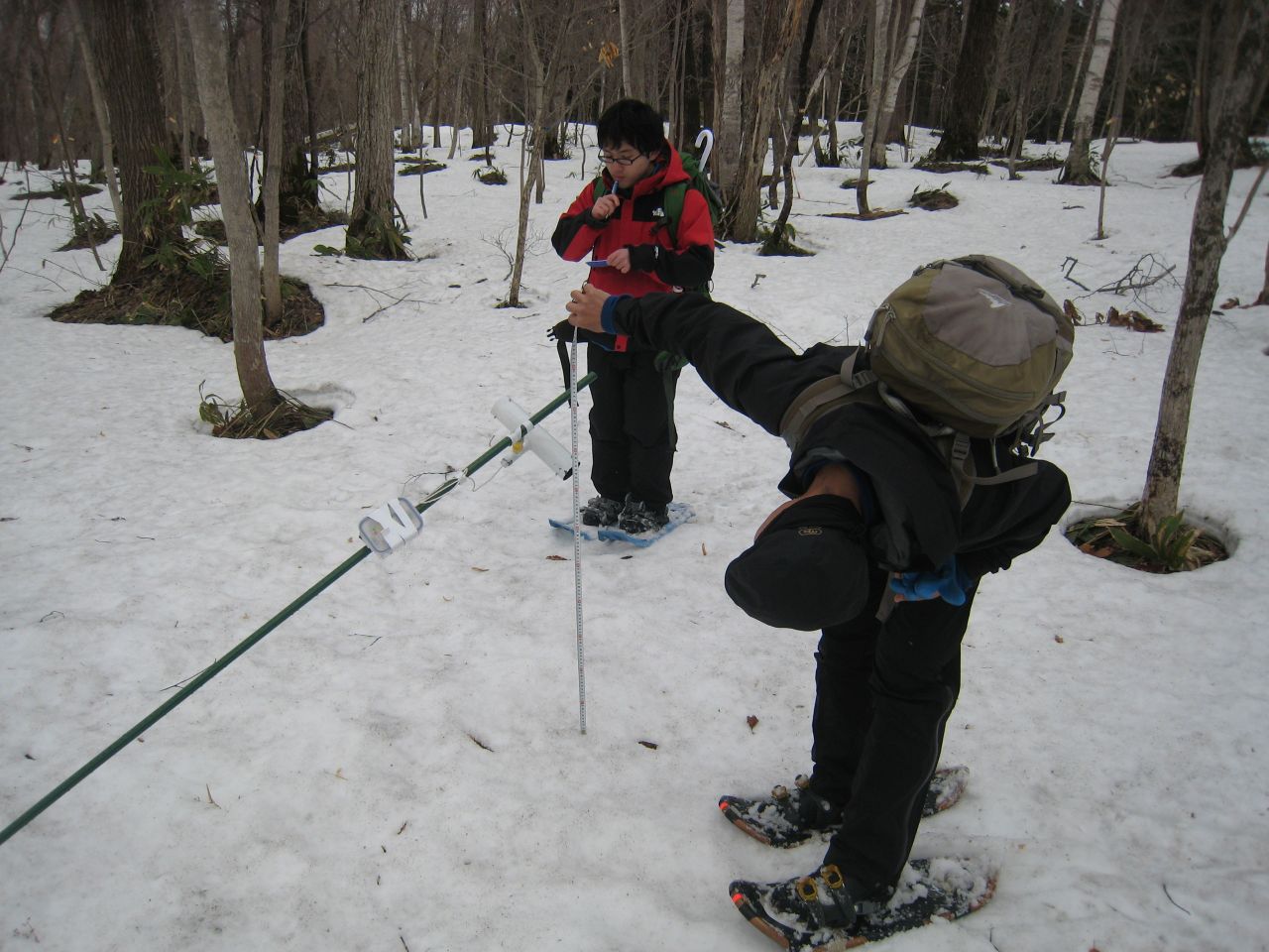 �|�ꂽ���x�v