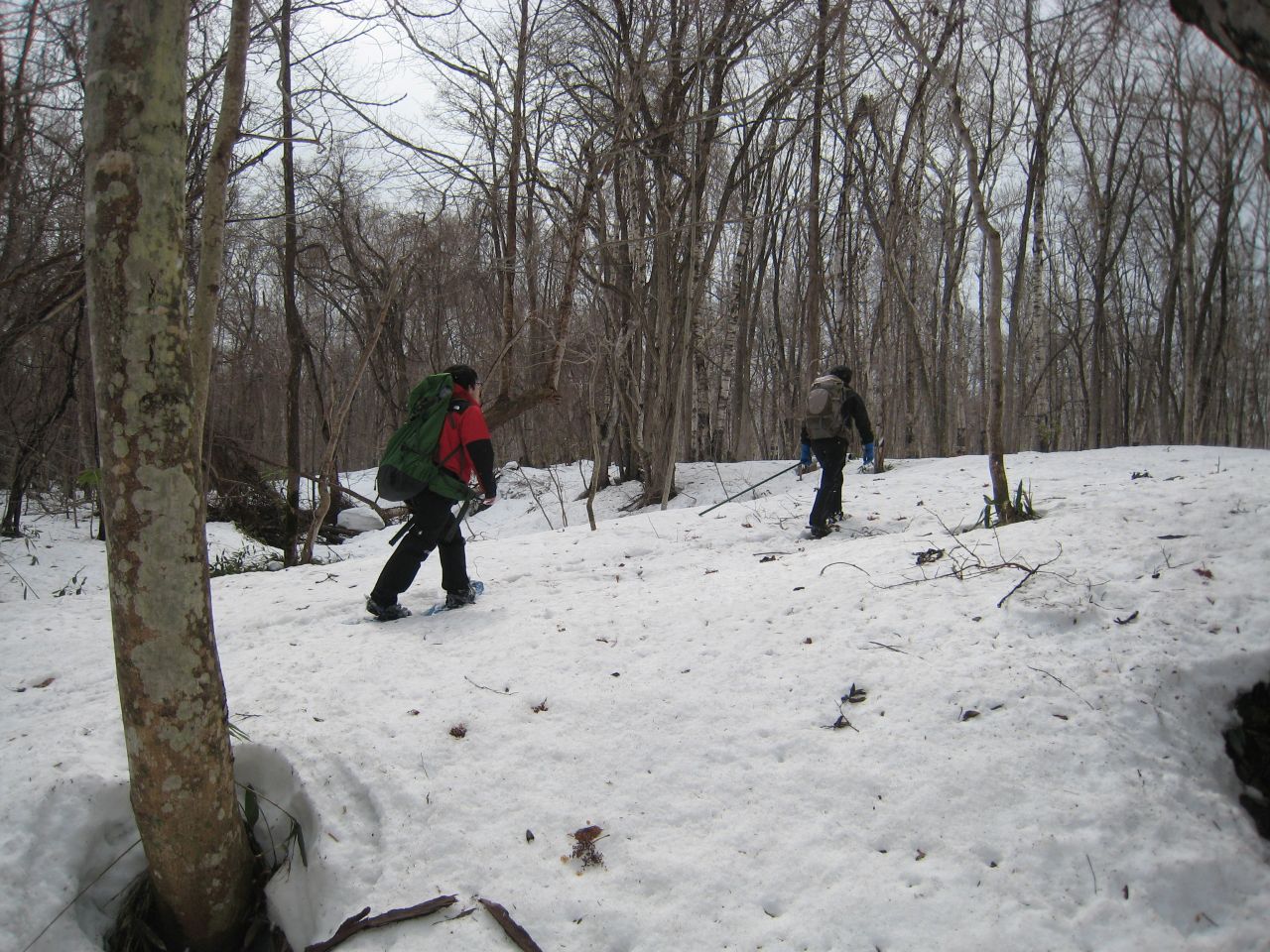 �T�C�g�ւ̃A�N�Z�X