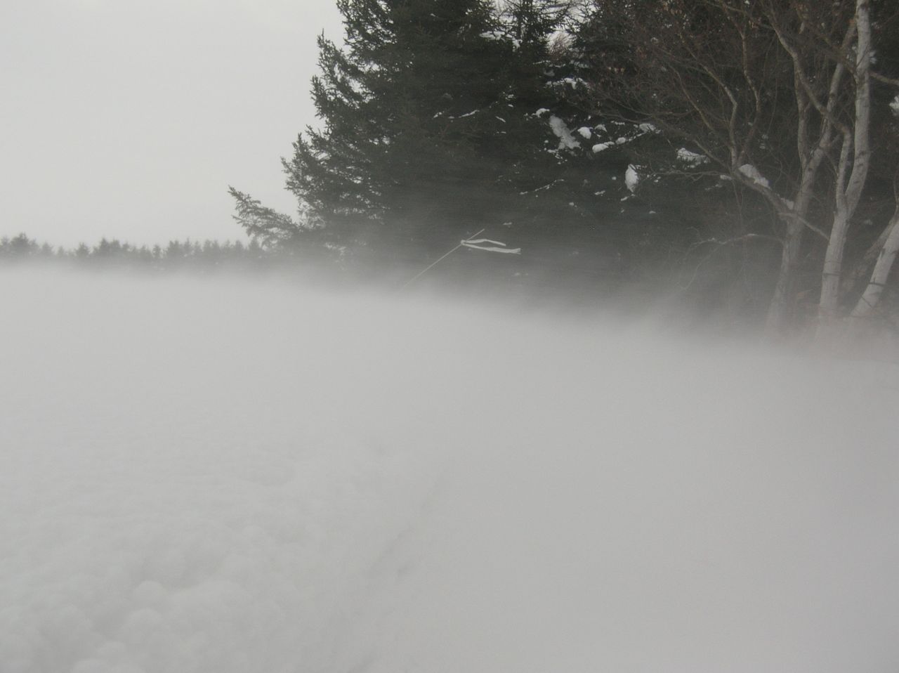 �n����̏u��