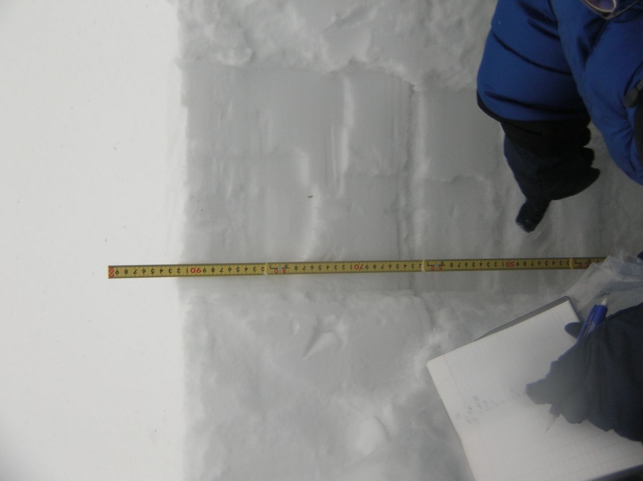 �ϐ�f�ʊϑ�1