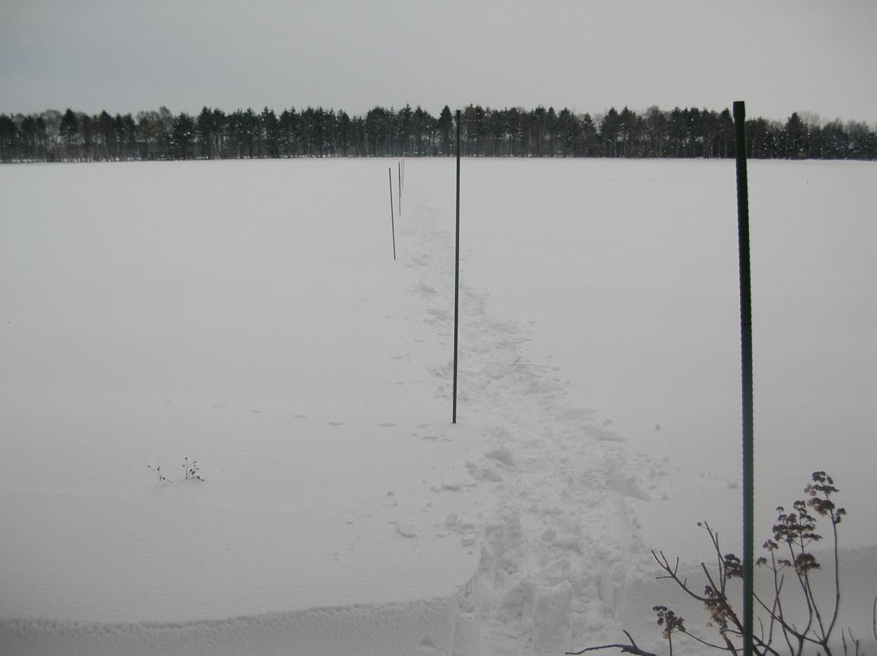 �v���g�����Z�N�g