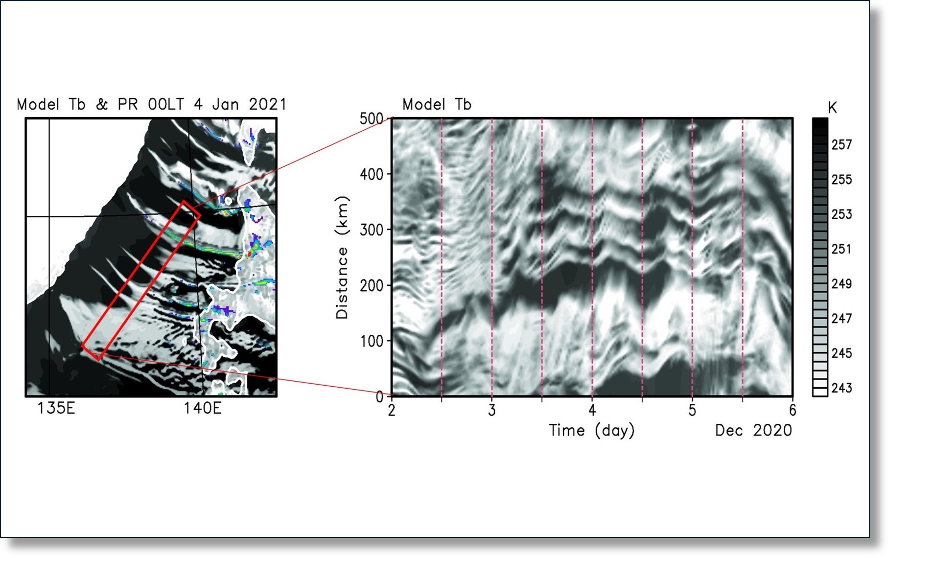 Semidiurnal oscillation of snowbands