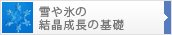雪や氷の結晶成長の基礎