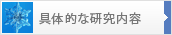 具体的な研究内容
