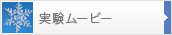 実験movieはこちら